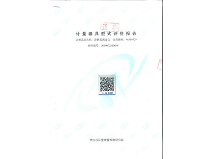 溶解氧儀形式評(píng)價(jià)報(bào)告